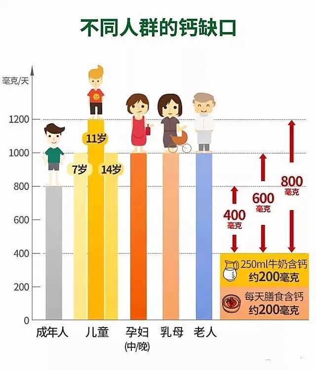 补钙有什么作用（补钙是起什么作用的）-硒宝网