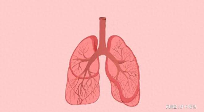 补铁大便黑色正常吗（大便黑色是补铁过度了吗）-硒宝网