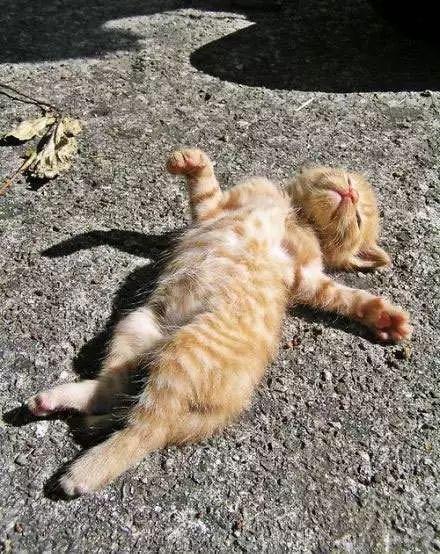 补钙晒太阳(晒太阳补钙要晒到皮肤吗)-硒宝网