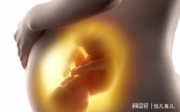 孕妇多少周补钙(孕妇补钙周期)-硒宝网