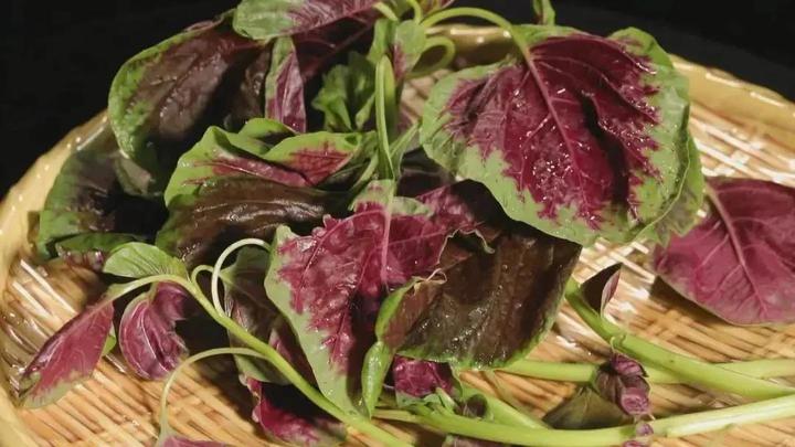 太阳补钙(补钙太阳怎么晒)-硒宝网