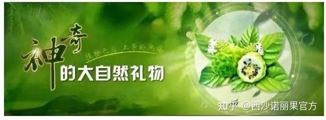 锌硒宝会增加尿酸(尿酸高能补锌和硒吗)-硒宝网