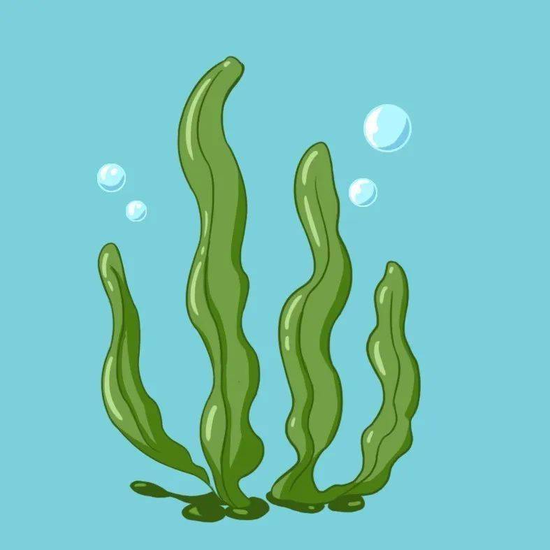 补碘的食物（食物补碘来源）-硒宝网