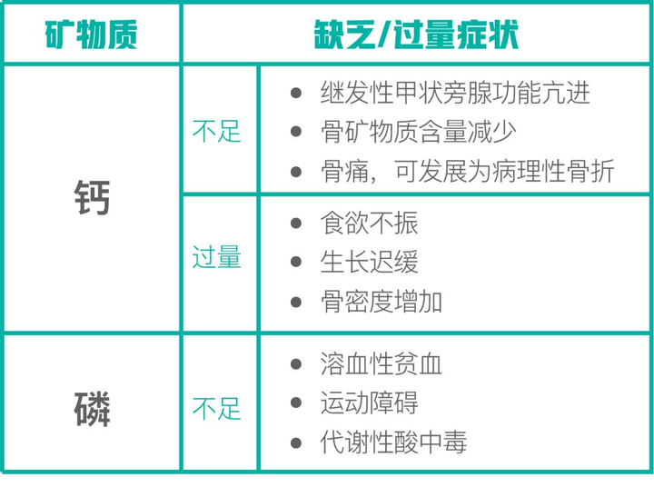 猫咪怎么补钙(猫咪补钙最简单的方法)-硒宝网