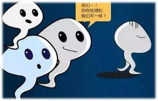 锌硒宝能提高卵子(锌可以促进卵泡发育吗)-硒宝网