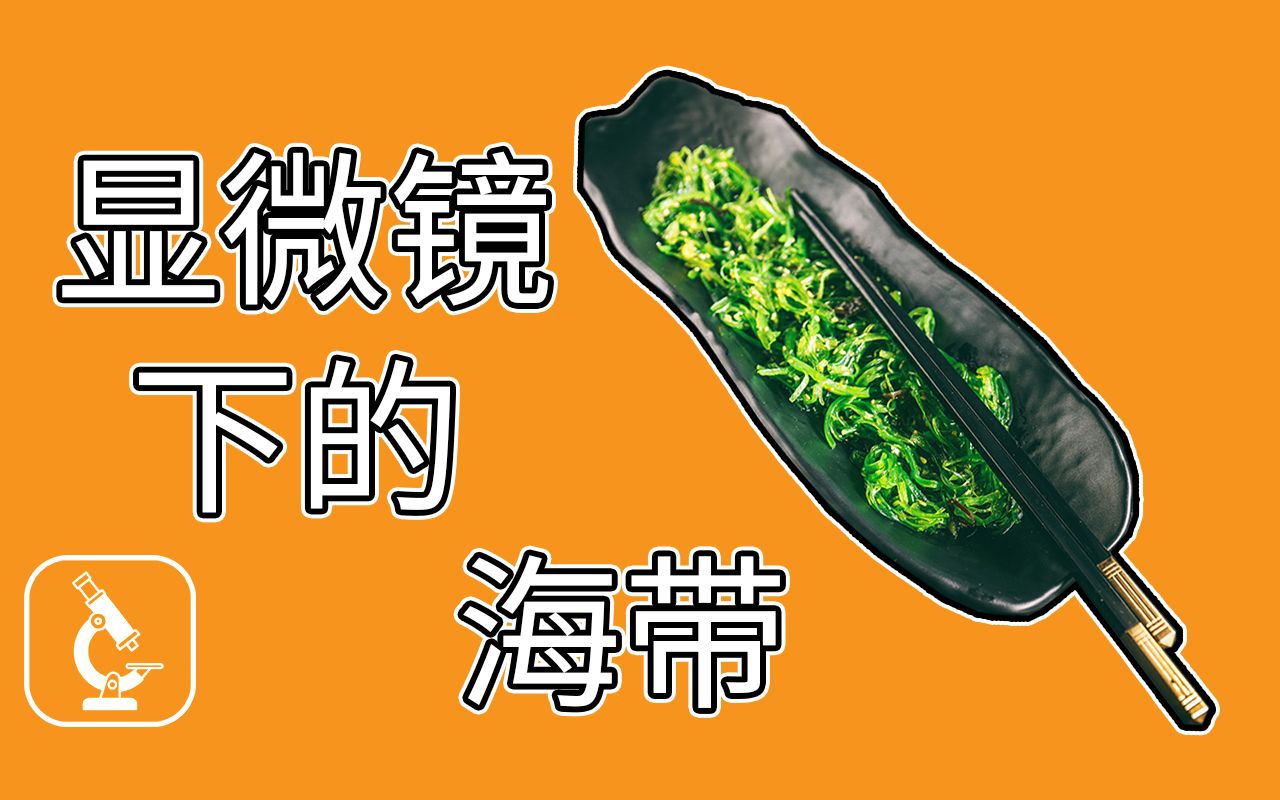 补碘的食物（食物补碘最好方法是什么）-硒宝网