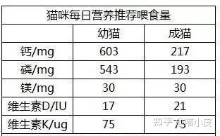 猫咪怎么补钙（猫咪补钙可以吃人吃的钙片吗）-硒宝网