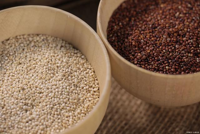 骨折能吃锌硒宝吗(锌对骨折有什么作用)-硒宝网