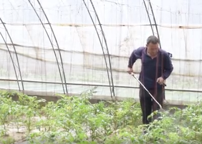 蔬菜补钙（吃什么蔬菜补钙）-硒宝网