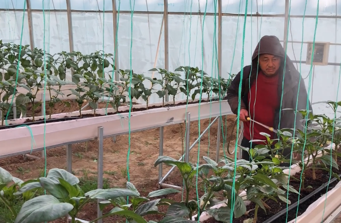 蔬菜补钙（吃什么蔬菜补钙）-硒宝网