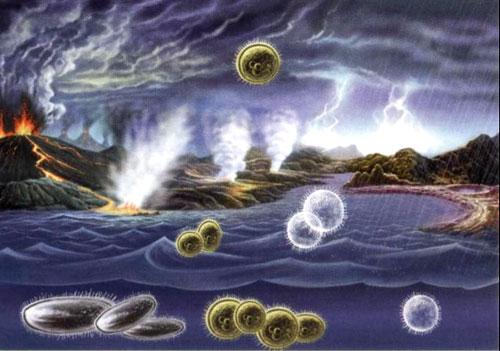 补钙的重要性(补钙重要性的新闻)-硒宝网