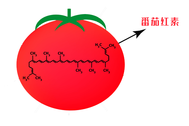 补微量元素吃什么好（补充微量元素有副作用吗）-硒宝网