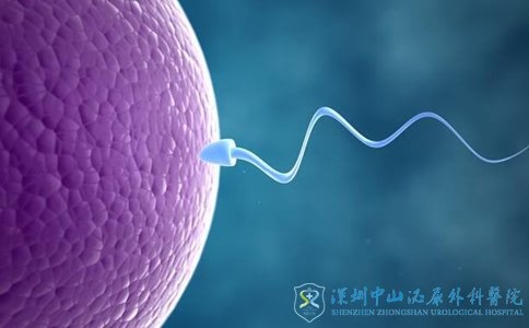 精子畸形吃锌硒宝(锌硒宝能提高精子吗)-硒宝网