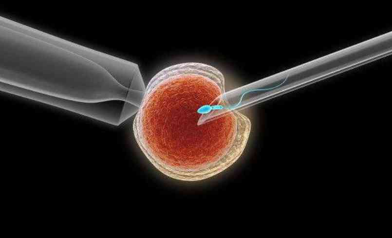 精子畸形吃锌硒宝(新稀宝牌锌硒宝精子)-硒宝网