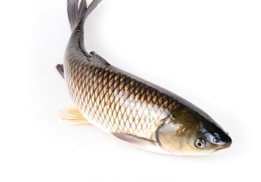 怀孕初期吃锌硒宝(怀孕初期医生让吃锌硒宝片)-硒宝网