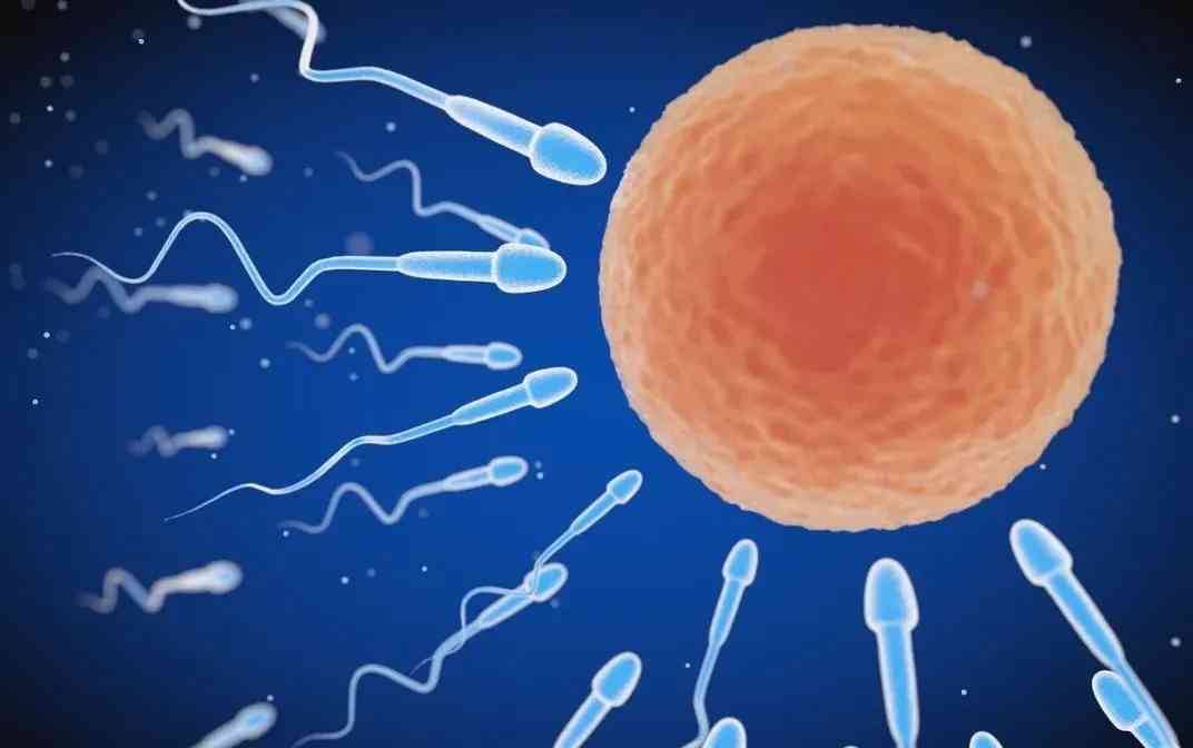 锌硒宝增加y精子（锌硒宝吃多久精子见效）-硒宝网