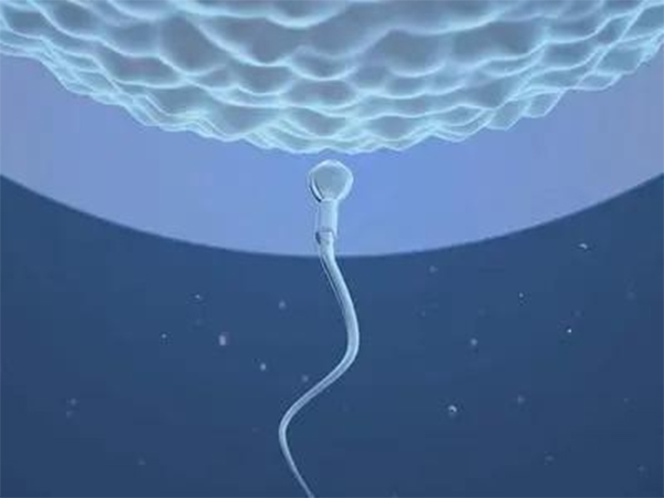 锌硒宝增加y精子（锌硒宝吃多久精子见效）-硒宝网