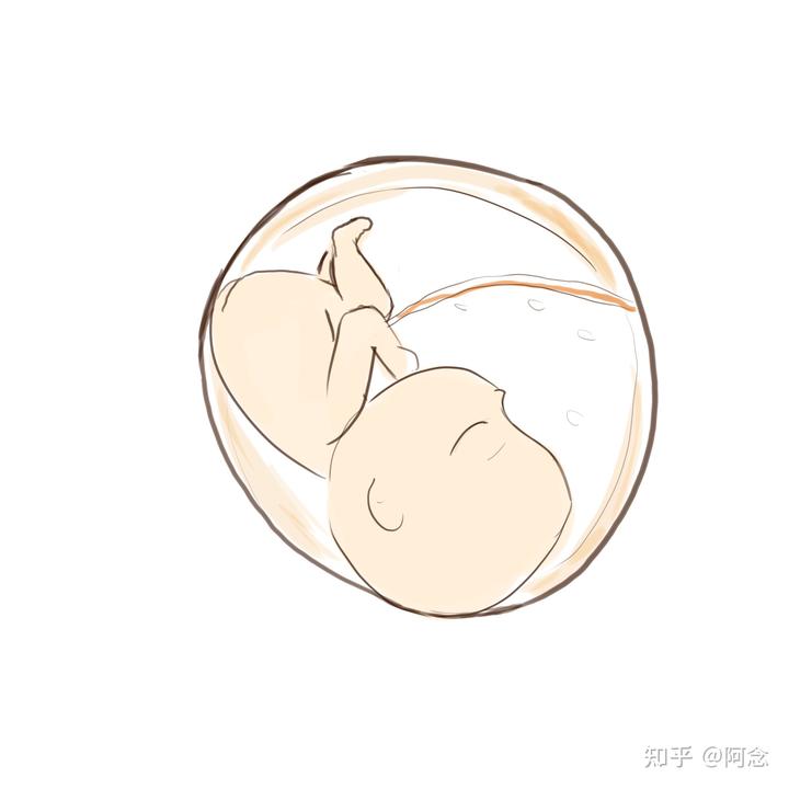 精子畸形率锌硒宝（精子正?？梢猿孕课β穑?硒宝网