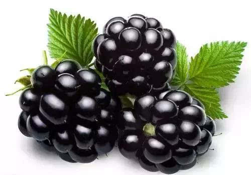 常见的微量元素(常见微量元素口诀)-硒宝网