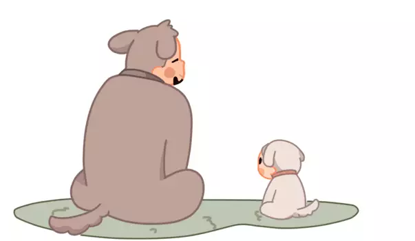 男性补锌能够壮阳是真的吗（男人补锌补肾吃什么药）-硒宝网