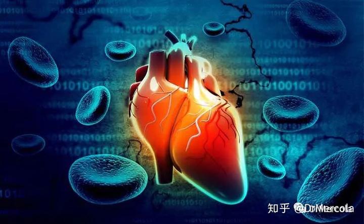 锌硒宝有没有作用（锌硒宝能补硒吗）-硒宝网