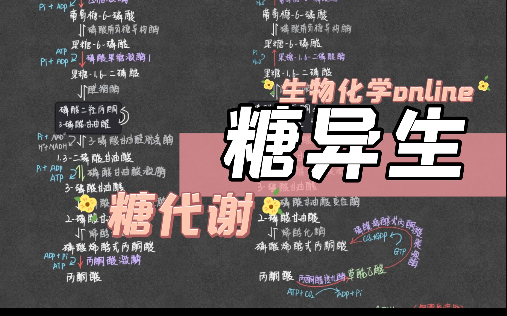 熬夜吃锌硒宝好吗(锌硒宝长期吃)-硒宝网