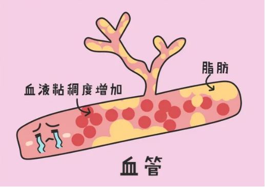 熬夜吃锌硒宝好吗(锌硒宝长期吃)-硒宝网