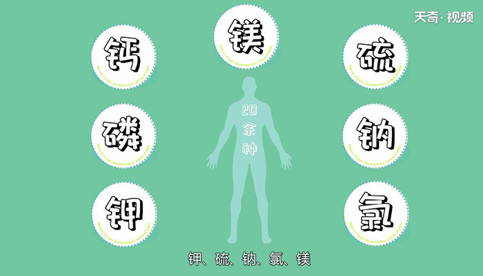 吃锌硒宝最佳时间(锌硒宝多大宝宝吃)-硒宝网