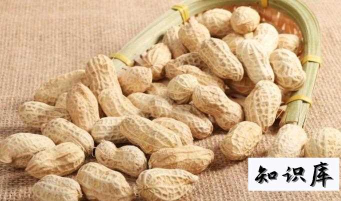 锌硒宝小孩吃好处（儿童吃锌硒宝可以改善吃饭吗）-硒宝网