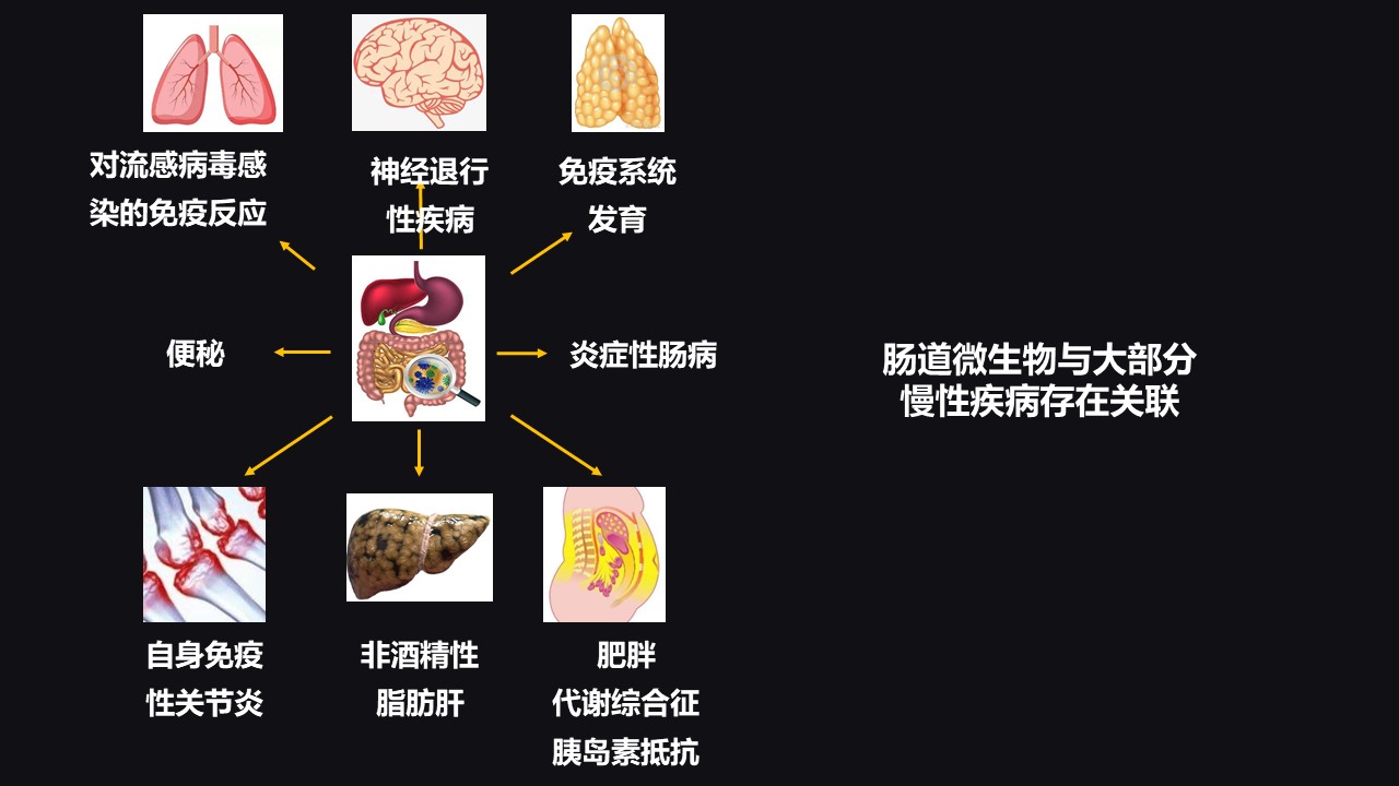 补铁是什么(补铁是什么意思)-硒宝网
