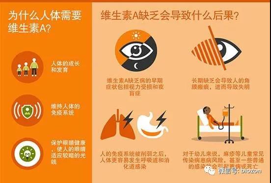 锌硒宝价钱和功效（锌硒宝的价格是多少钱一盒）-硒宝网