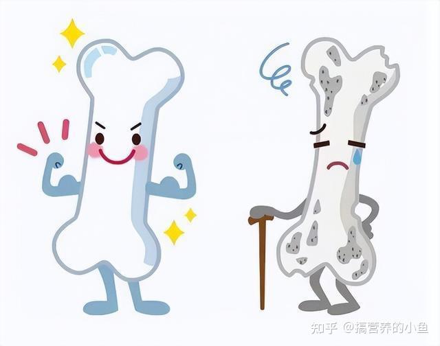 奶粉能补钙吗（奶粉能补钙不）-硒宝网