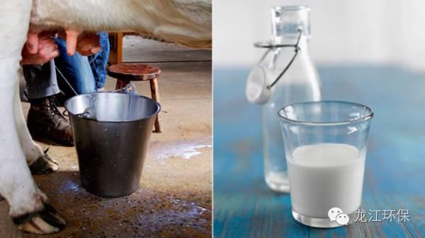 牛奶和豆浆哪个补钙好(豆浆牛奶补钙好吗)-硒宝网