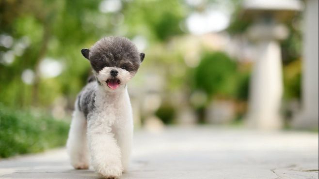 吃鸡蛋可以补钙吗(鸡蛋补钙吃可以补钙吗)-硒宝网