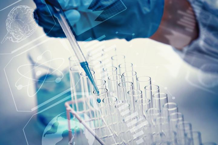 叶酸锌硒宝的功效(锌硒宝和叶酸的功能一样吗)-硒宝网