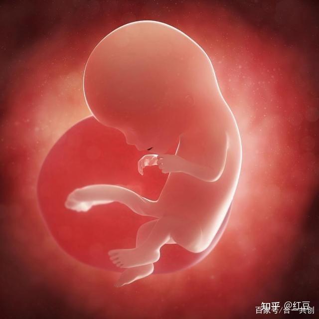 小孩吃锌硒宝好吗（锌硒宝宝宝能常吃吗）-硒宝网