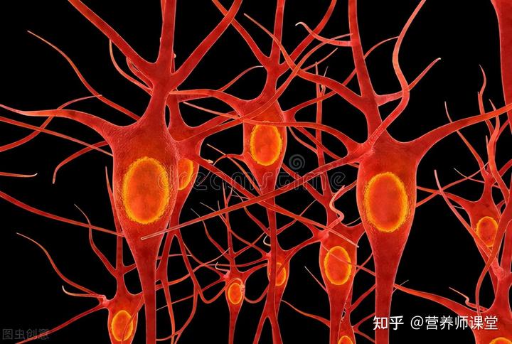 缺钙吃什么补钙(缺钙要吃啥补)-硒宝网