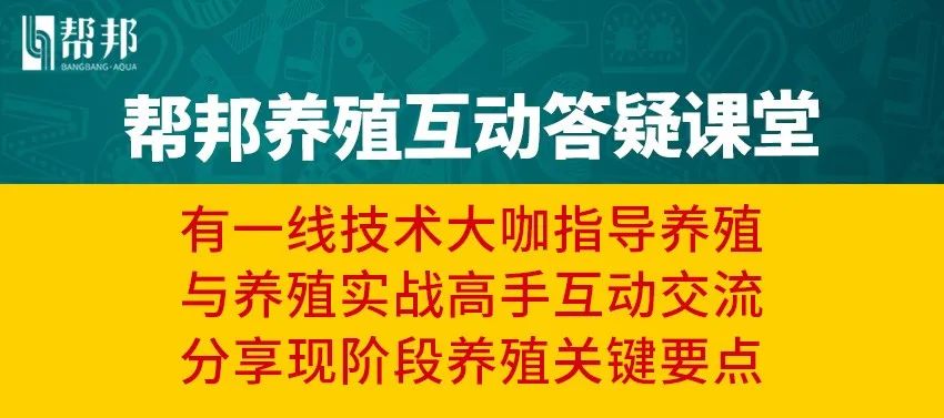大虾补钙吗(大虾补钙效果怎么样)-硒宝网