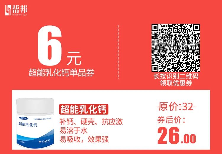 大虾补钙吗(大虾补钙效果怎么样)-硒宝网