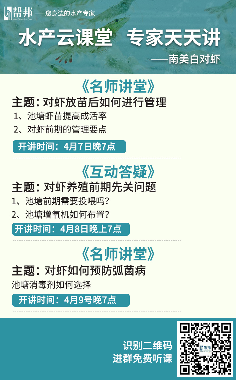 大虾补钙吗(大虾补钙效果怎么样)-硒宝网