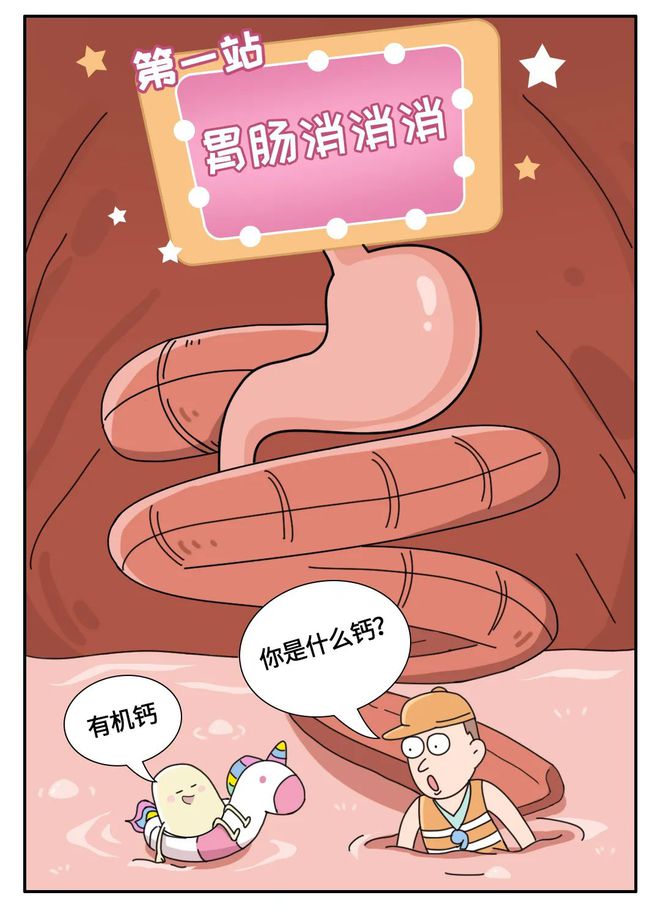 鸡蛋皮能补钙吗（鸡蛋皮补钙吗）-硒宝网