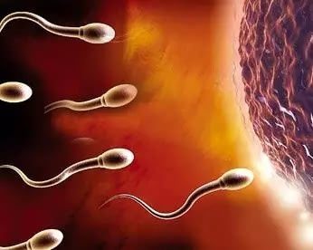 男性吃锌硒宝过敏(过敏吃锌有用么)-硒宝网