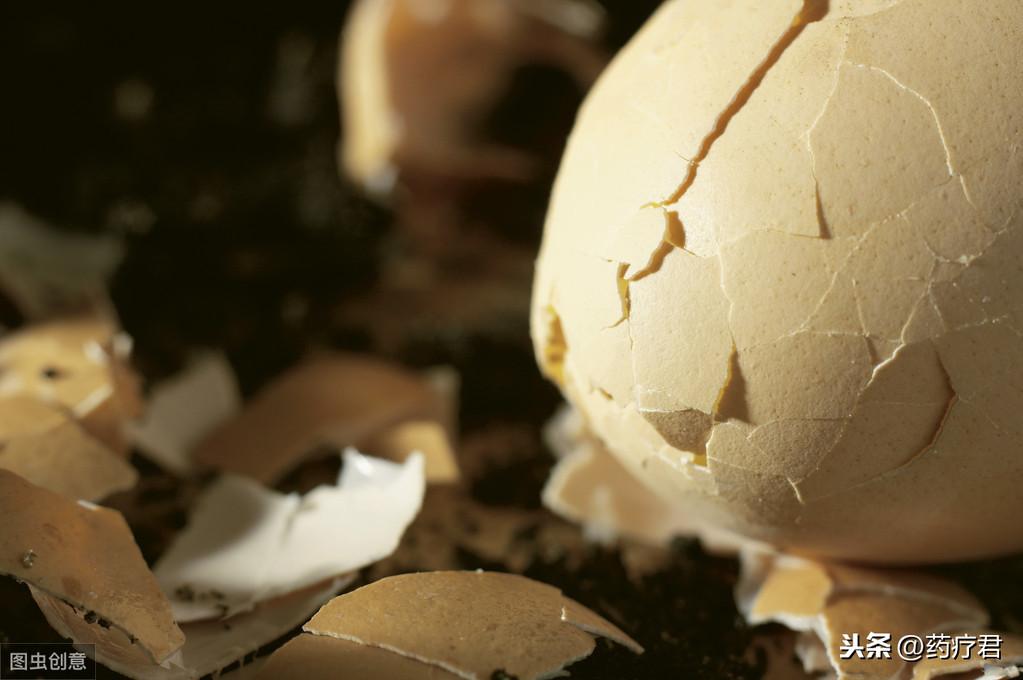 鸡蛋皮能补钙吗(鸡蛋皮补钙效果好吗)-硒宝网