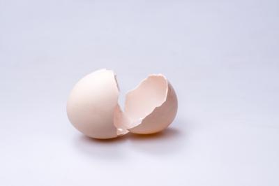 鸡蛋皮能补钙吗(鸡蛋皮补钙最快的土方法)-硒宝网