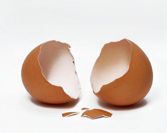 鸡蛋皮能补钙吗(鸡蛋皮补钙最快的土方法)-硒宝网