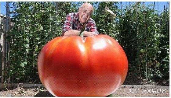 爱乐维锌硒宝作用(爱乐维和锌硒宝)-硒宝网