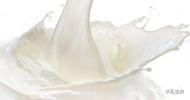 羊奶能补钙吗（补钙羊奶粉）-硒宝网