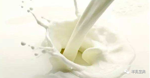 羊奶能补钙吗（补钙羊奶粉）-硒宝网