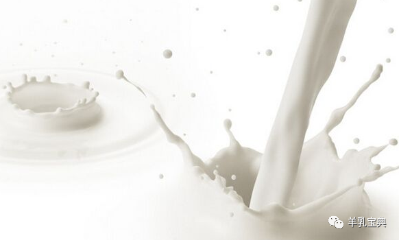 羊奶能补钙吗（补钙羊奶粉）-硒宝网