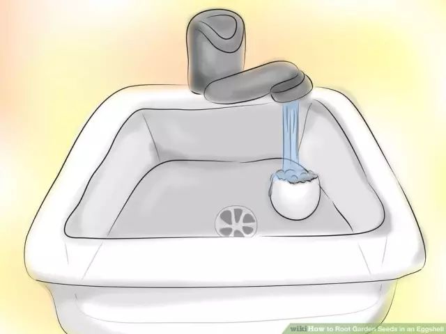 鸡蛋壳可以补钙吗（吃蛋壳补钙）-硒宝网